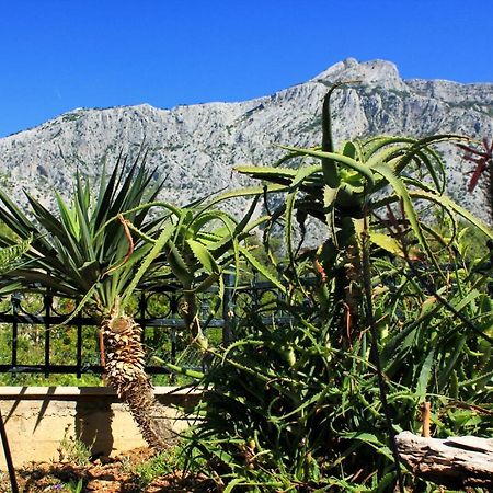 Apartments With A Parking Space Orebic, Peljesac - 10157 Exterior foto